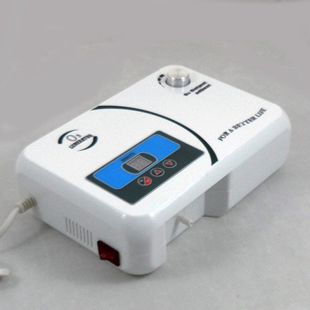 Enaly Home Ozone Generator OZX-300AT 