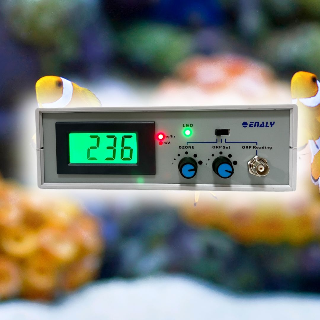 Aquarium ozone generator. The Ultimate Solution with ORP